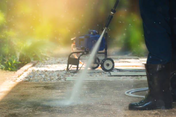 Animal Enclosure Cleaning in Allentown, NJ